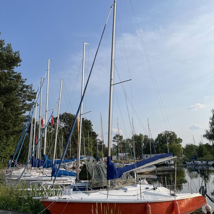 PlumForestMark yacht fleet
